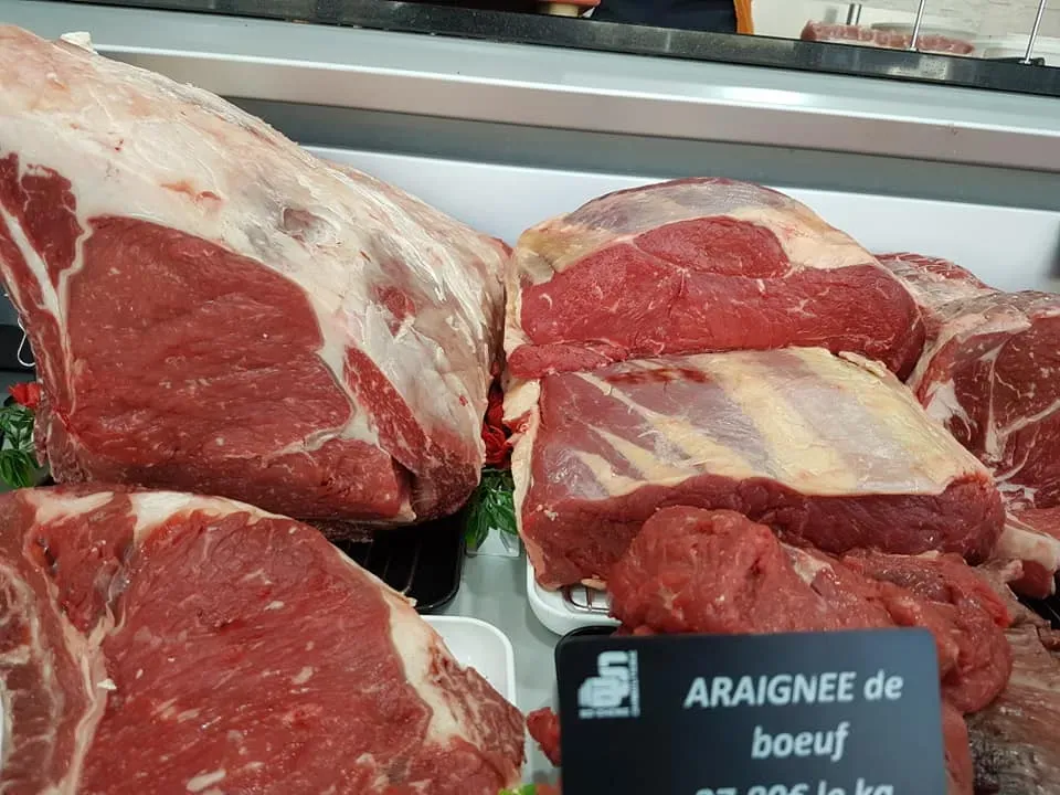 araignee-boeuf